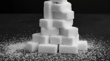 garnishing-instructions-image